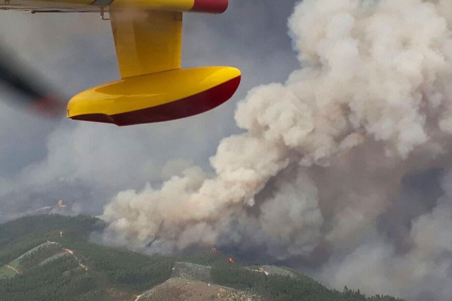 2017-06-19_11_30.42 14148779.JPG