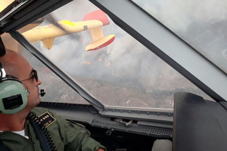 2017-06-19_11_30.43 14148865.JPG