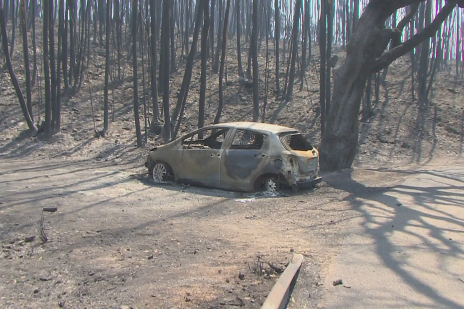 Estrada Nacional 236 registou vários mortos