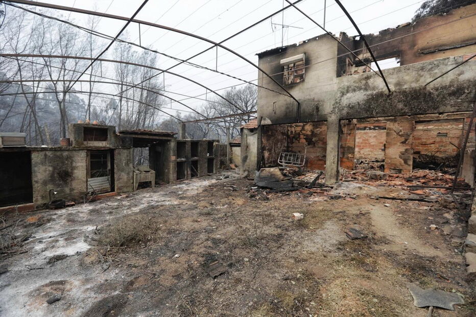 2017-06-19_13_54.42 Pedrogao8 Paulo Novais.jpg