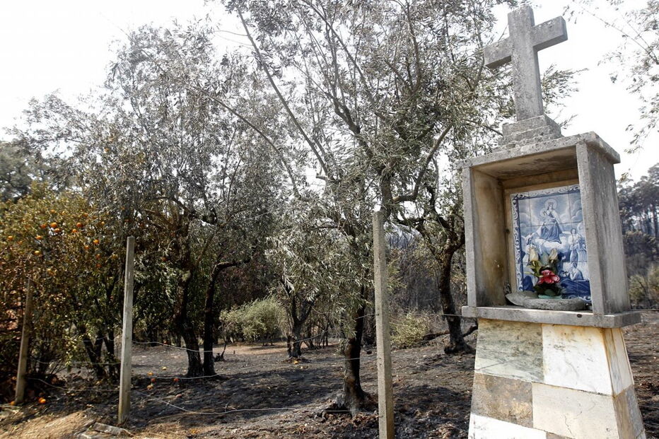 2017-06-19_14_12.51 Vitor Mota1.jpg