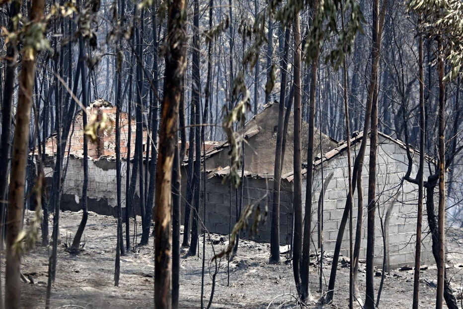 2017-06-19_14_12.52 Vitor Mota3.jpg