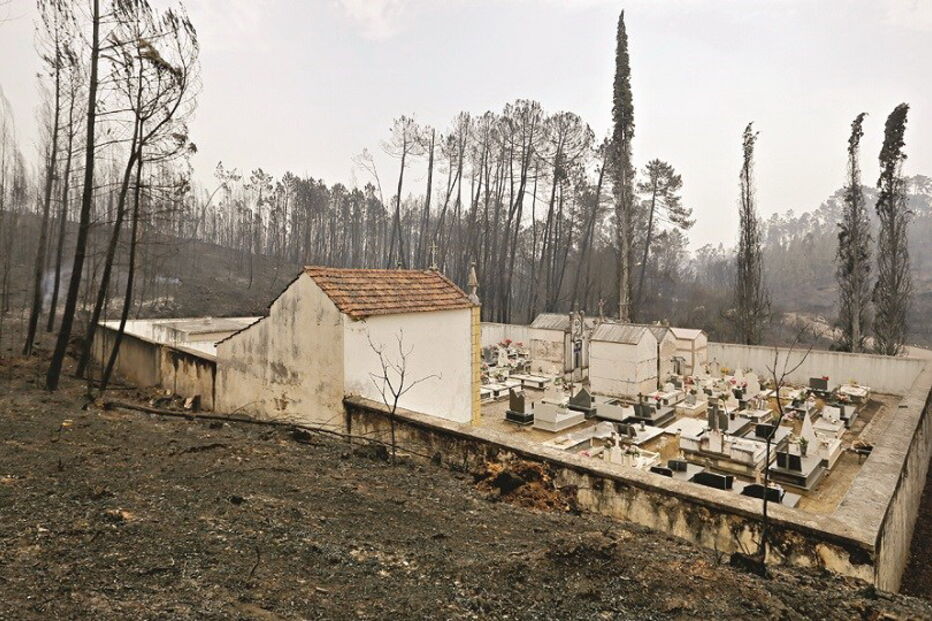 Sarzedas, Nélson, Maria Odete e Anacleto, São Pedro, António, Eliana, Paulo, Rosinda Silva, Correio da Manhã, Castanheira de Pera, Maria do Nascimento, acidentes e desastres, incêndios