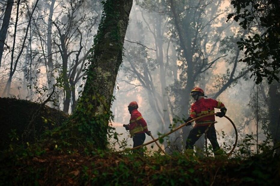 Bombeiros combatem as chamas em Pedrógão Grande