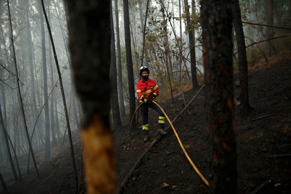 Bombeiros combatem as chamas em Pedrógão Grande