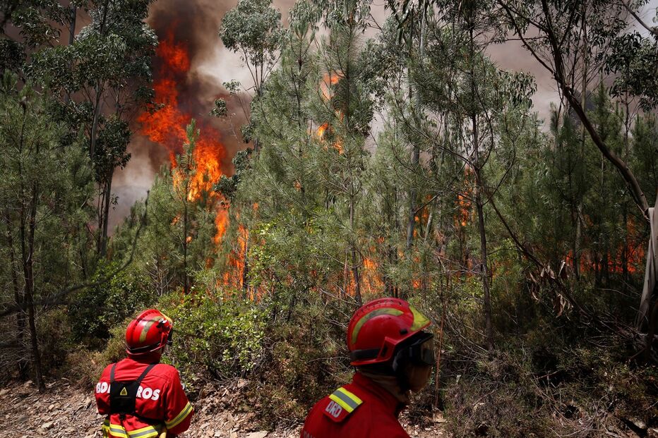 Bombeiros combatem as chamas em Pedrógão Grande