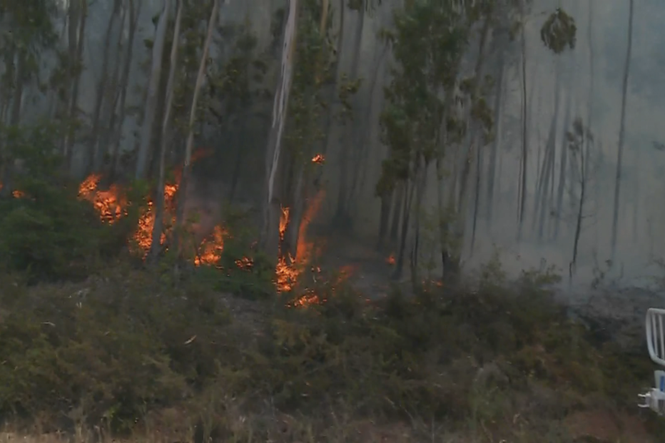 Incêndio reacende-se em Avelar