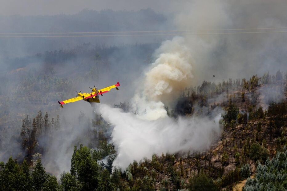 Avião Canadair