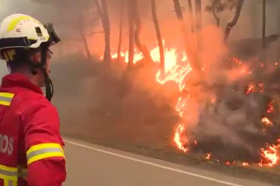 Bombeiros combatem fogo
