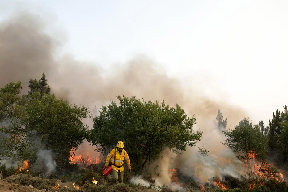 Bombeiros especialistas de Andaluzia combatem fogo com fogo