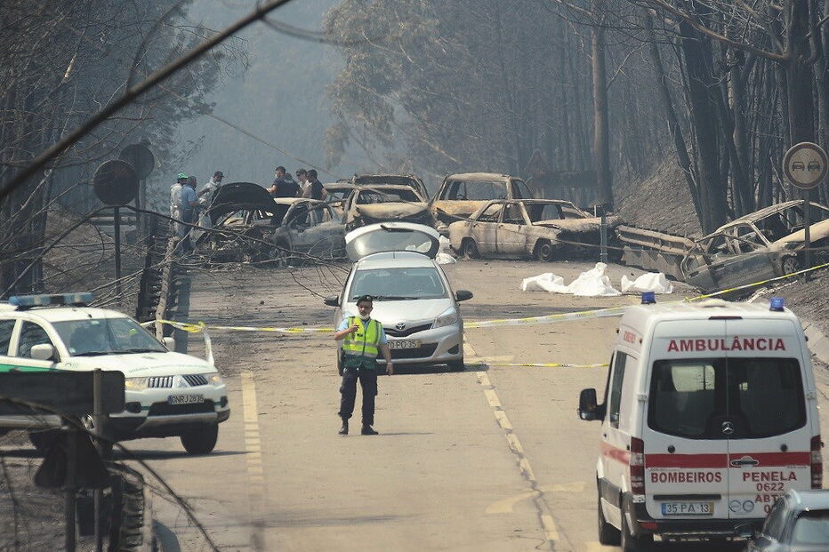 sistema, tragédia, SIRESP, incêndio, fogo, bombeiros, negócio, estado, Pedrógão Grande