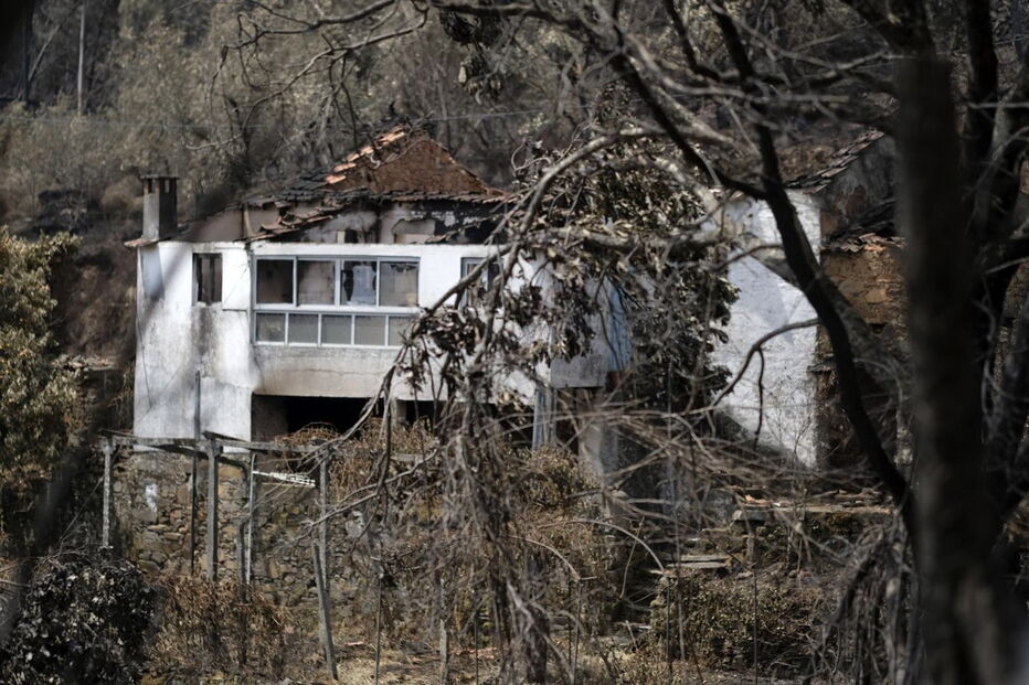 Chamas deixaram um rasto de destruição e semearam a pobreza 