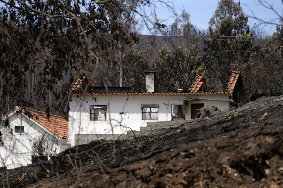 Chamas deixaram um rasto de destruição e semearam a pobreza 