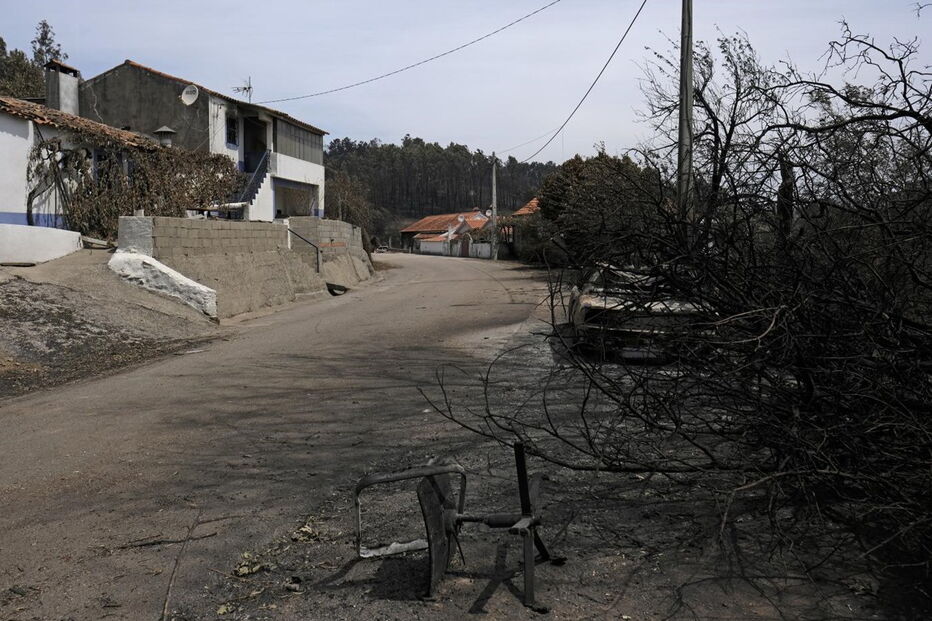 Chamas deixaram um rasto de destruição e semearam a pobreza 