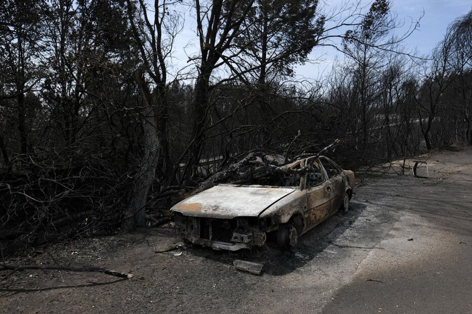 Chamas deixaram um rasto de destruição e semearam a pobreza 