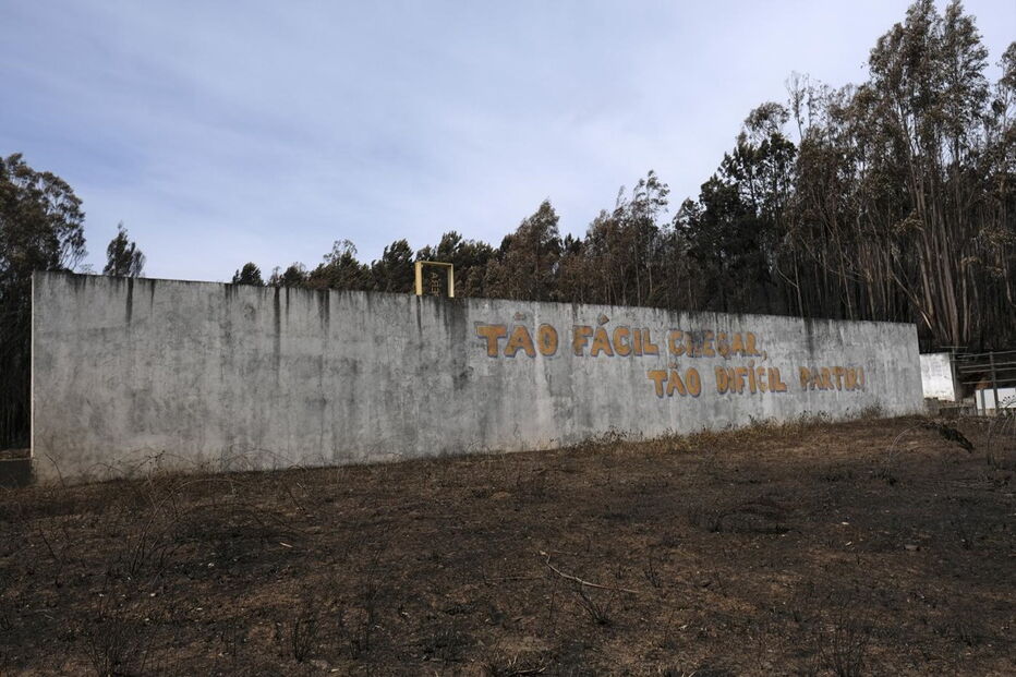 Chamas deixaram um rasto de destruição e semearam a pobreza 
