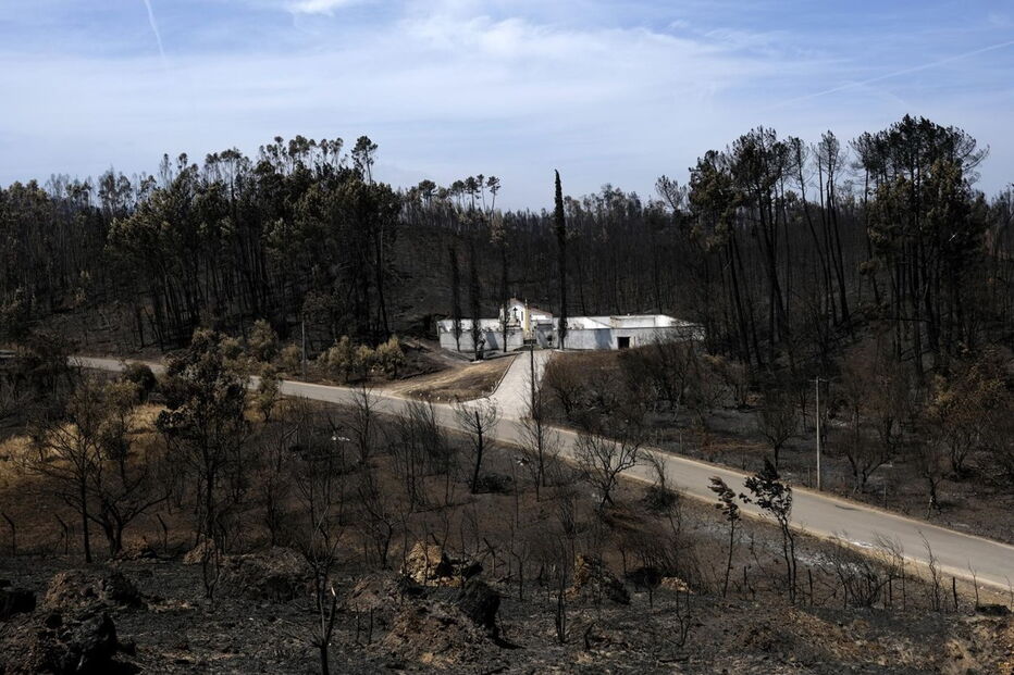 Chamas deixaram um rasto de destruição e semearam a pobreza 