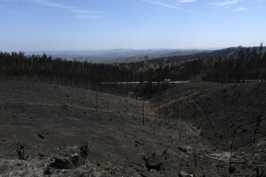 Chamas deixaram um rasto de destruição e semearam a pobreza 