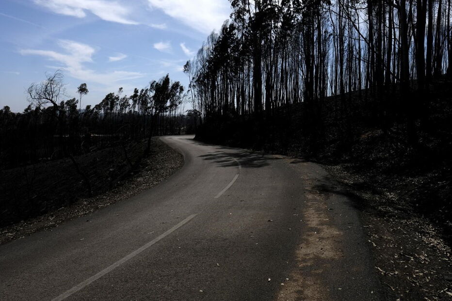 Chamas deixaram um rasto de destruição e semearam a pobreza 