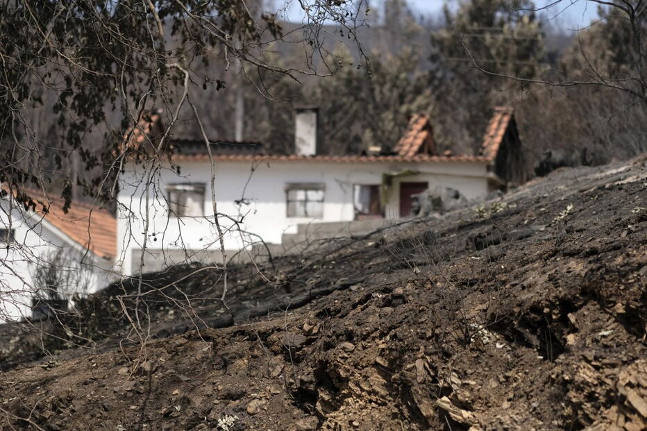 Chamas deixaram um rasto de destruição e semearam a pobreza 