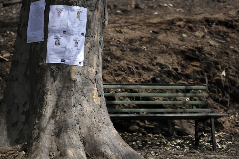 Chamas deixaram um rasto de destruição e semearam a pobreza 