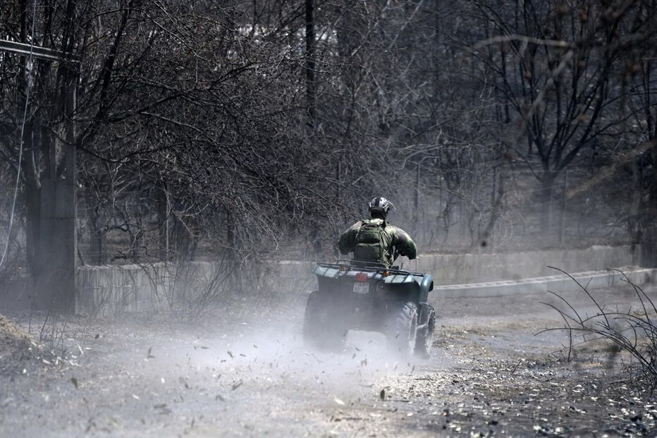 Chamas deixaram um rasto de destruição e semearam a pobreza 