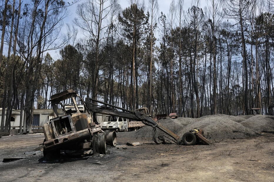 Chamas deixaram um rasto de destruição e semearam a pobreza 