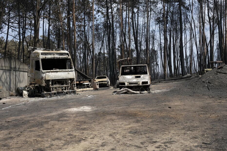 Chamas deixaram um rasto de destruição e semearam a pobreza 