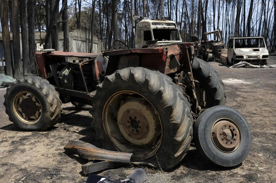 Chamas deixaram um rasto de destruição e semearam a pobreza 