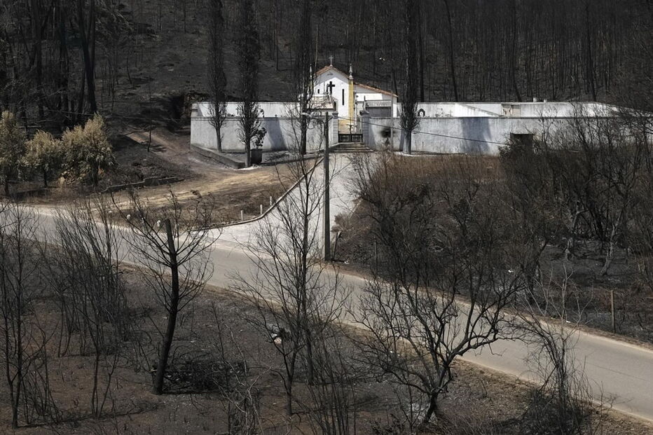 Chamas deixaram um rasto de destruição e semearam a pobreza 