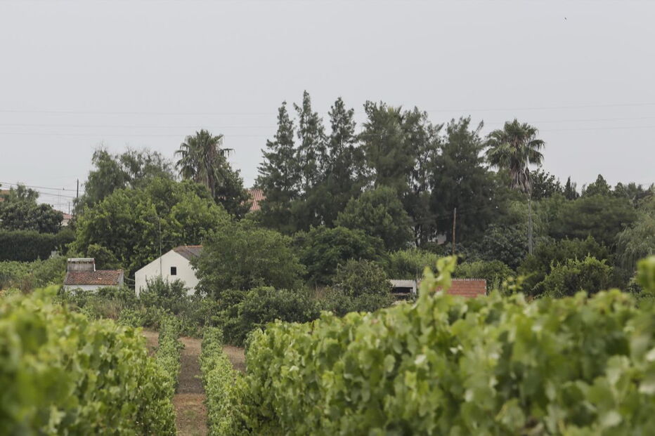 Quinta em Palmela onde ocorriam os abusos da seita 'Verdade Celetial'