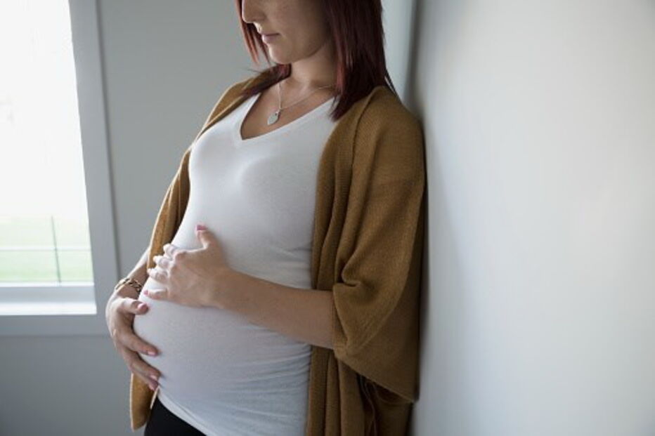 Diploma com regras para a gestação de substituição foi aprovado