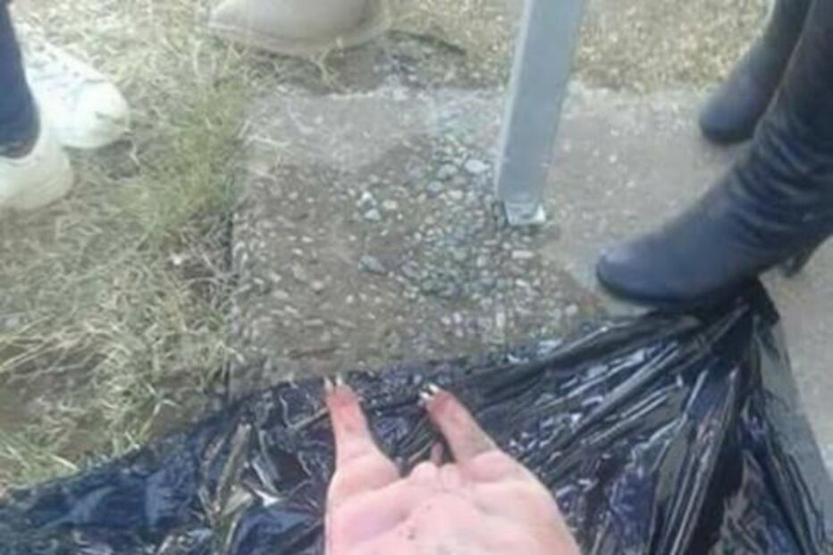 Ovelha é encarada pela população como obra do diabo