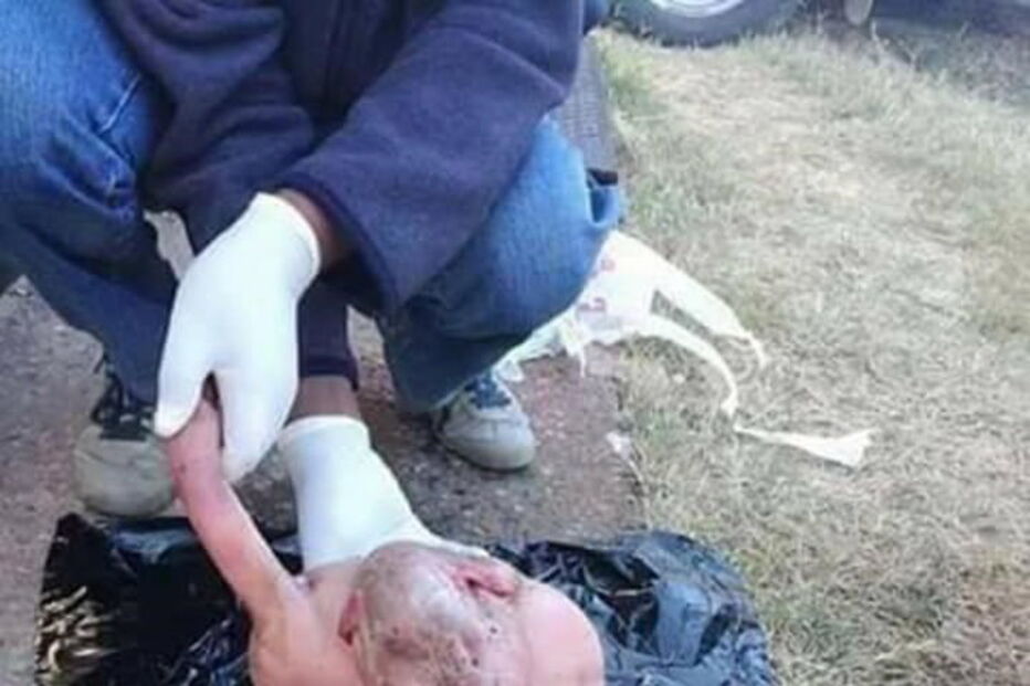 Ovelha é encarada pela população como obra do diabo