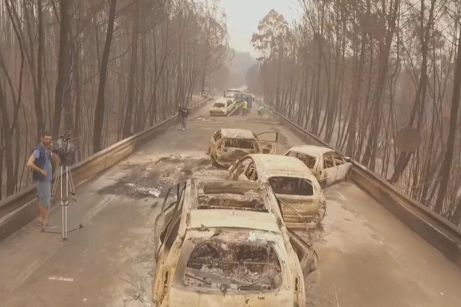 Área ardida em incêndio de Pedrógão equivale a 53 mil campos de gutebol