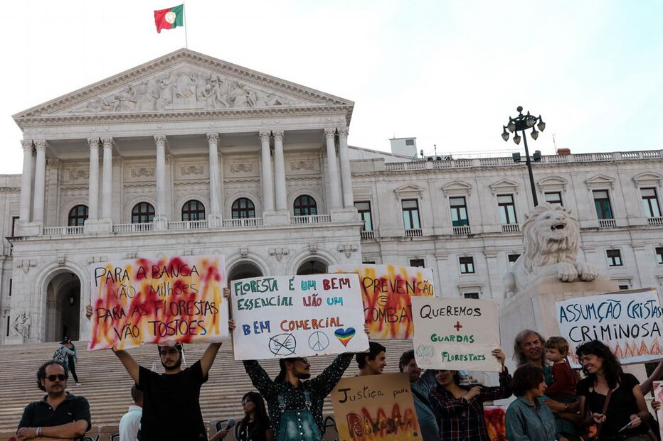 Concentração a favor de nova política florestal com pouca adesão