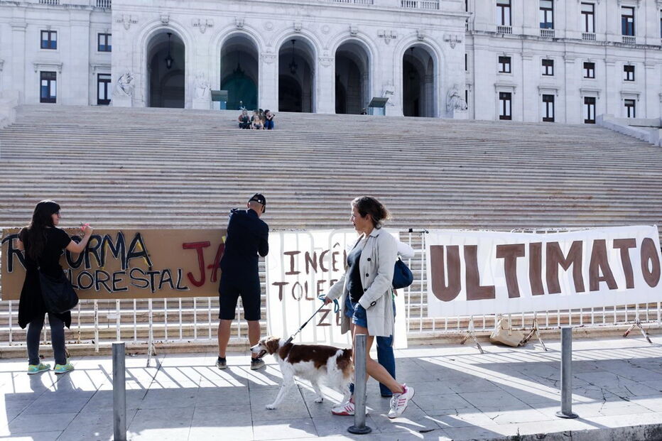 Concentração a favor de nova política florestal com pouca adesão