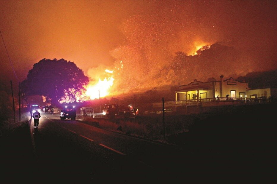 2017-06-26_00_13.17 12. tribunal quer.jpg