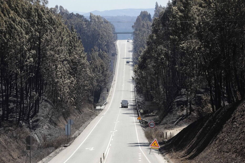Fogo destruiu quase toda a área florestal de Pedrógão Grande