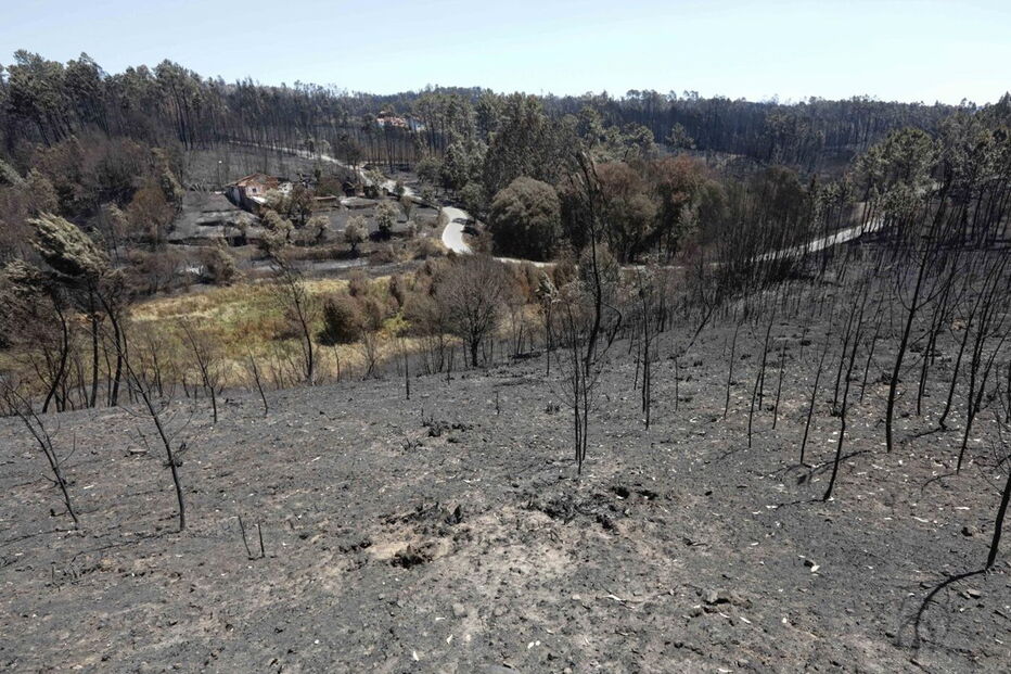 Fogo destruiu quase toda a área florestal de Pedrógão Grande