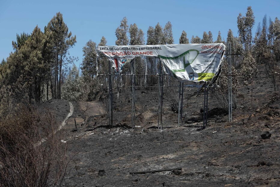 Fogo destruiu quase toda a área florestal de Pedrógão Grande