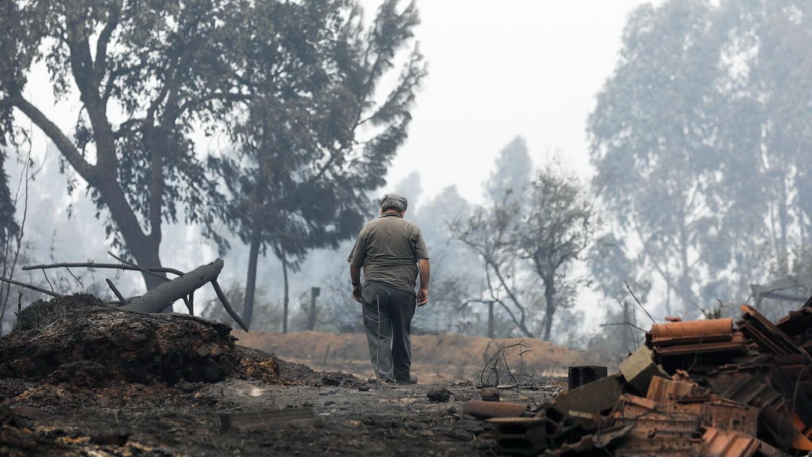Fogo, pedrógão grande, aldeias, estrada, floresta, incêndio, tragédia