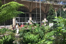 Imagens da Estufa Fria, onde decorre o copo de água de Bruno de Carvalho e Joana Ornelas