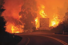 incêndios, fogo, floresta, destruição