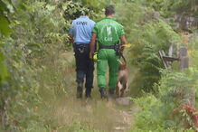 GNR faz buscas pelo bebé de Serzedelo com cães