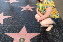 Limpa estrela de Trump no Passeio da Fama e internet não perdoa