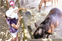rio Torto, Pedagógica de Braga, Este, vereador do Ambiente da Câmara de Braga, Altino Bessa, Bom Jesus, Mosteiro de S. Martinho de Tibães, Galeria Mário Sequeira, Adaúfe, Férias na Quinta, SYnergia, EsproMinho, estilo de vida e lazer, política, férias, autoridades locais