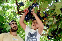 rio Torto, Pedagógica de Braga, Este, vereador do Ambiente da Câmara de Braga, Altino Bessa, Bom Jesus, Mosteiro de S. Martinho de Tibães, Galeria Mário Sequeira, Adaúfe, Férias na Quinta, SYnergia, EsproMinho, estilo de vida e lazer, política, férias, autoridades locais
