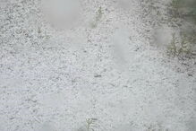 Granizo em Miranda do Corvo