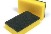 esponja, loiça, fungos, bactérias, doenças, estudo, 